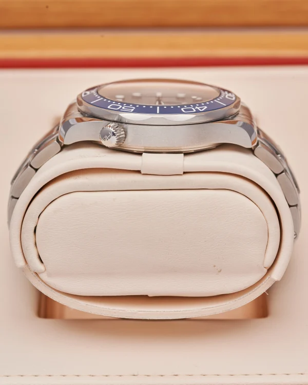 Omega Seamaster Diver 210.30.42.20.06.001 2022 Blue Grey - view 6